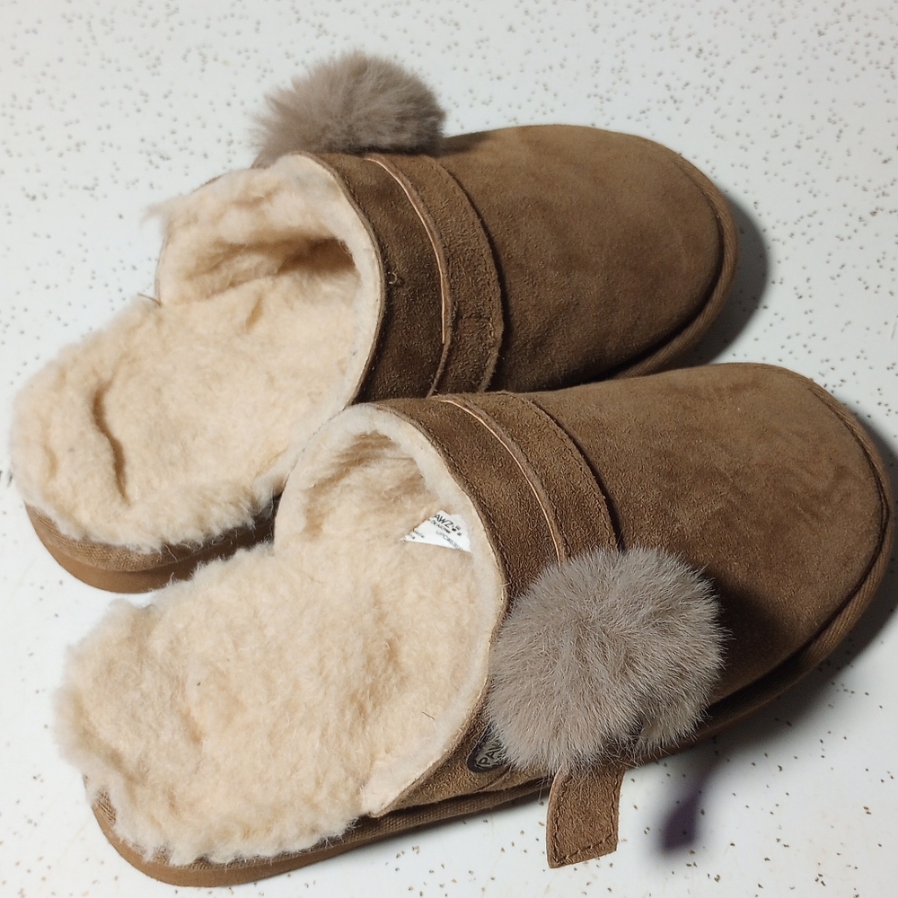 BEAR PAWZ Slides